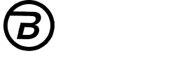 Blink logo — Hovi Digital Lab client