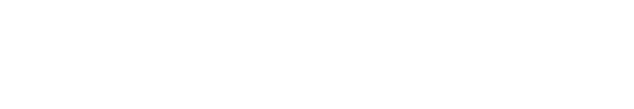 Leading Point logo — Hovi Digital Lab client
