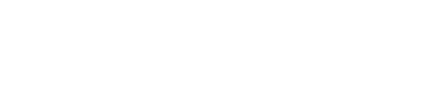 Pellini logo — Hovi Digital Lab client