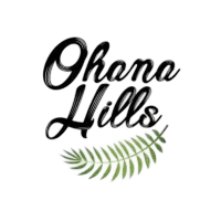 Mustapha El Sammak, CEO - Ohana Hills — Hovi Digital Lab testimonial